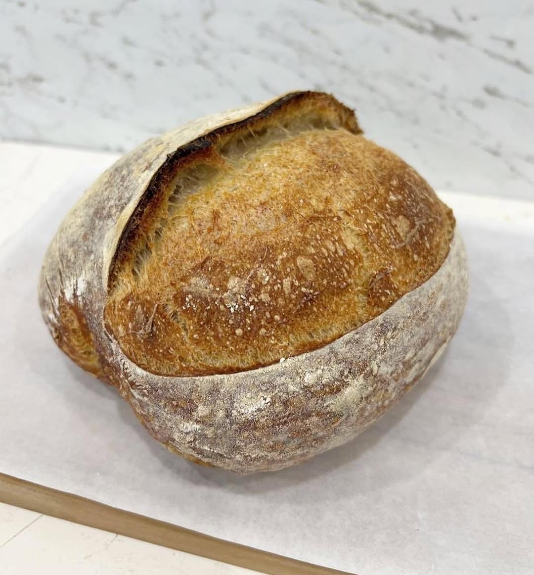 SOURDOUGH