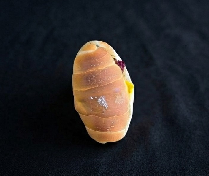 SALT BREAD (CORMAN)